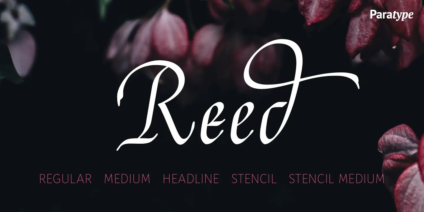 самые красивые шрифты, шрифт Reed