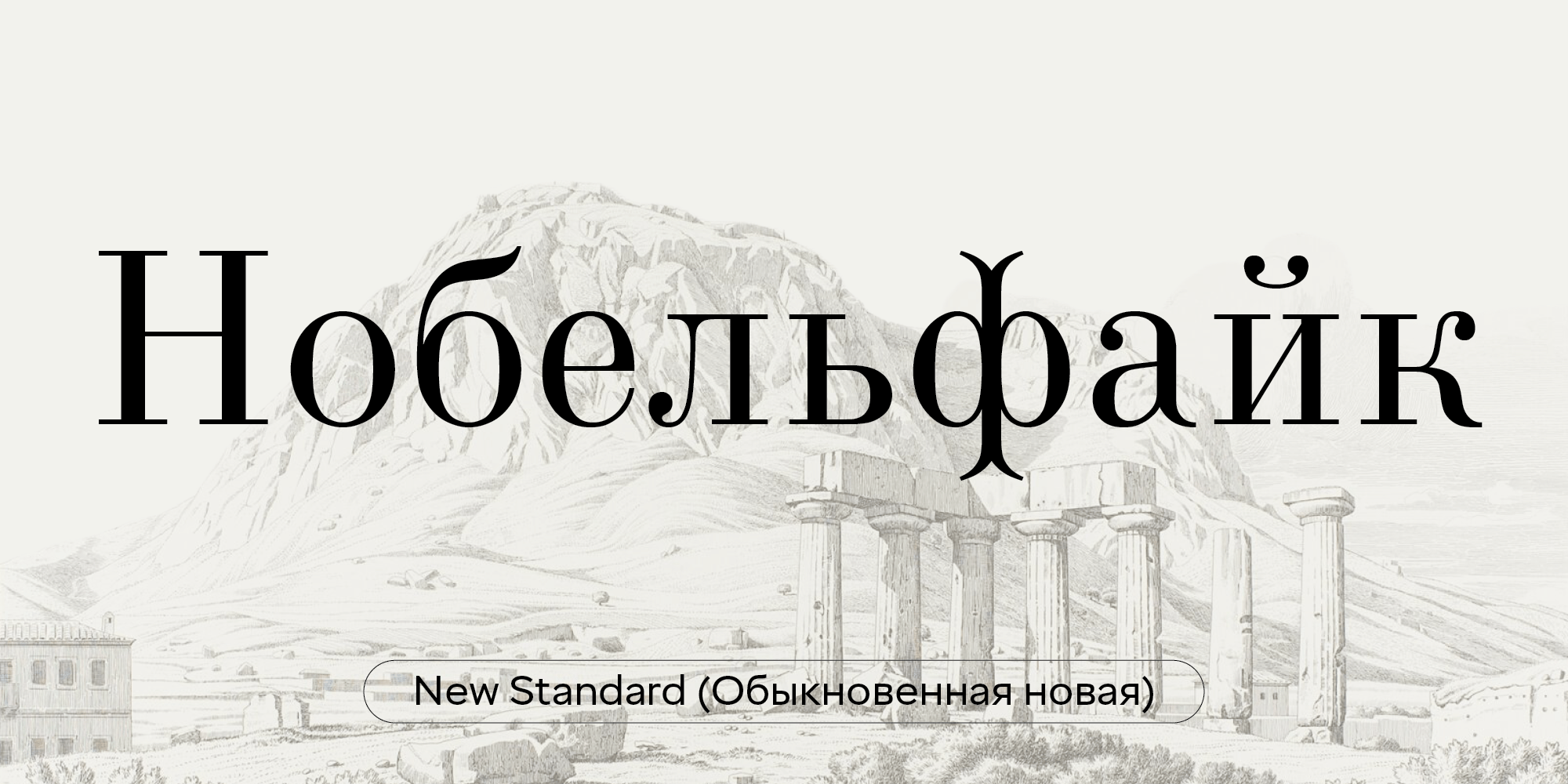 New Standard (Обыкновенная новая) шрифты, наследие Владимира Ефимова