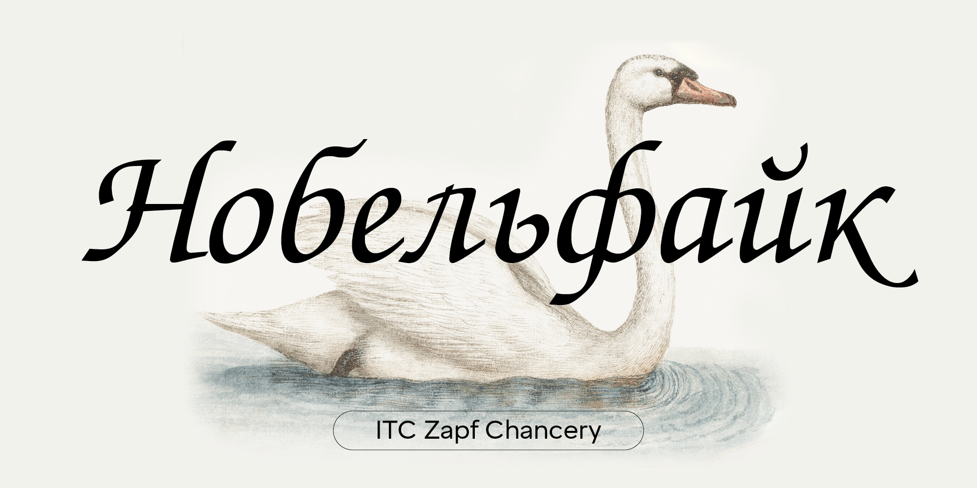 ITC Zapf Chancery