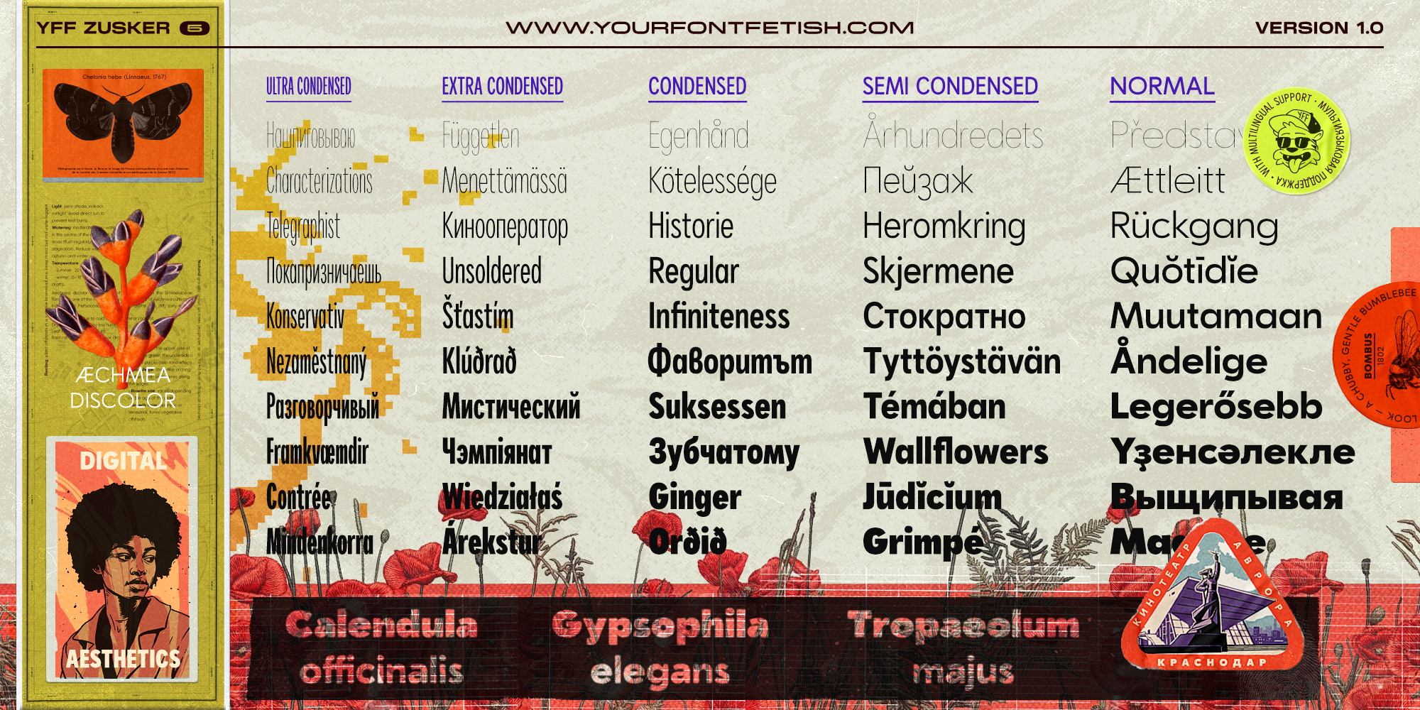 Система начертаний в YFF Zusker